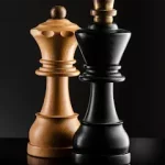 شطرنج مهكرة